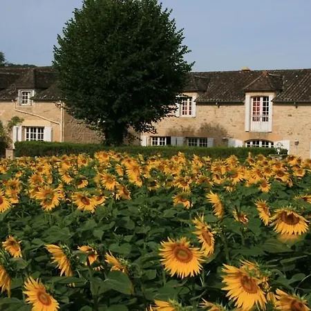 Domaine Des Hirondelles Villa Saint-Vincent-de-Cosse Room photo